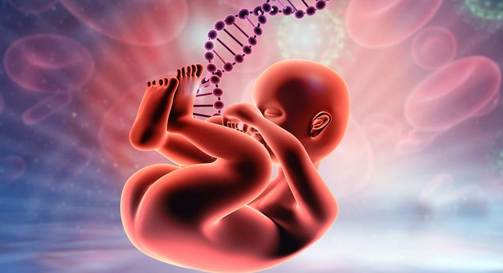 Fetal DNA Testi
