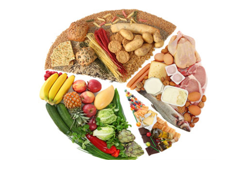 Gıda intoleransı testi